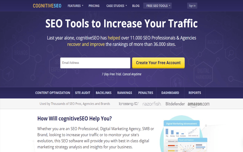 CognitiveSEO